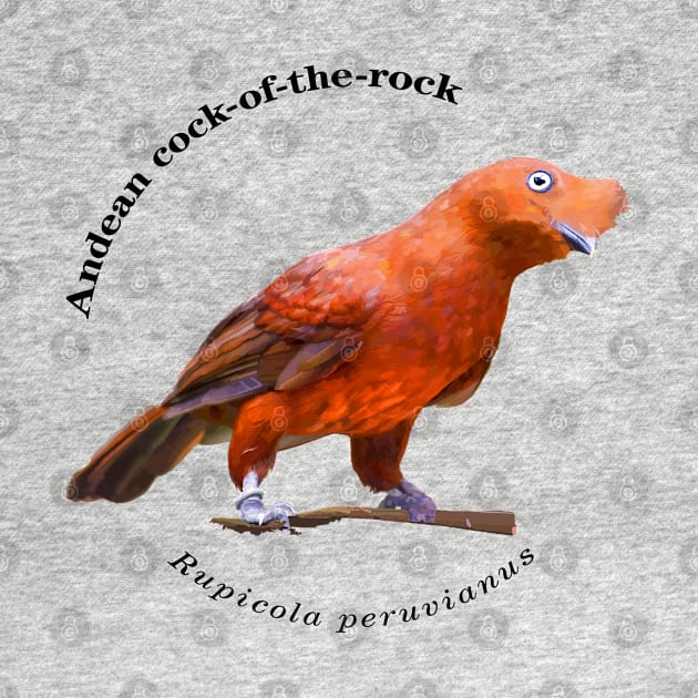 Andean cock-of-the-rock tropical bird pin black text by Ornamentum